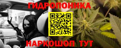 амф Ноябрьск