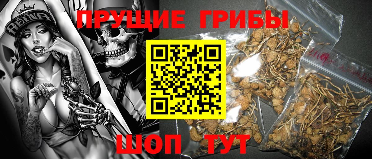 Горячий Ключ  Галлюциногенные грибы мицелий  Вход с VPN  Псилоцибиновые грибы прущие грибы 