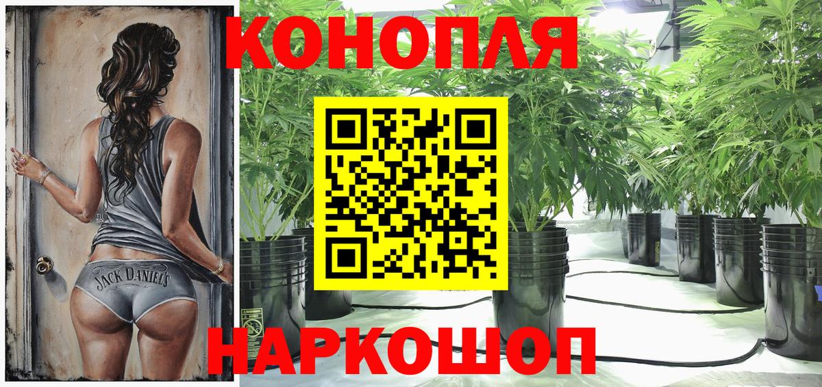 Шишки марихуана гибрид  Вход с VPN  Горячий Ключ  Марихуана Ganja  Бошки Шишки Bruce Banner 